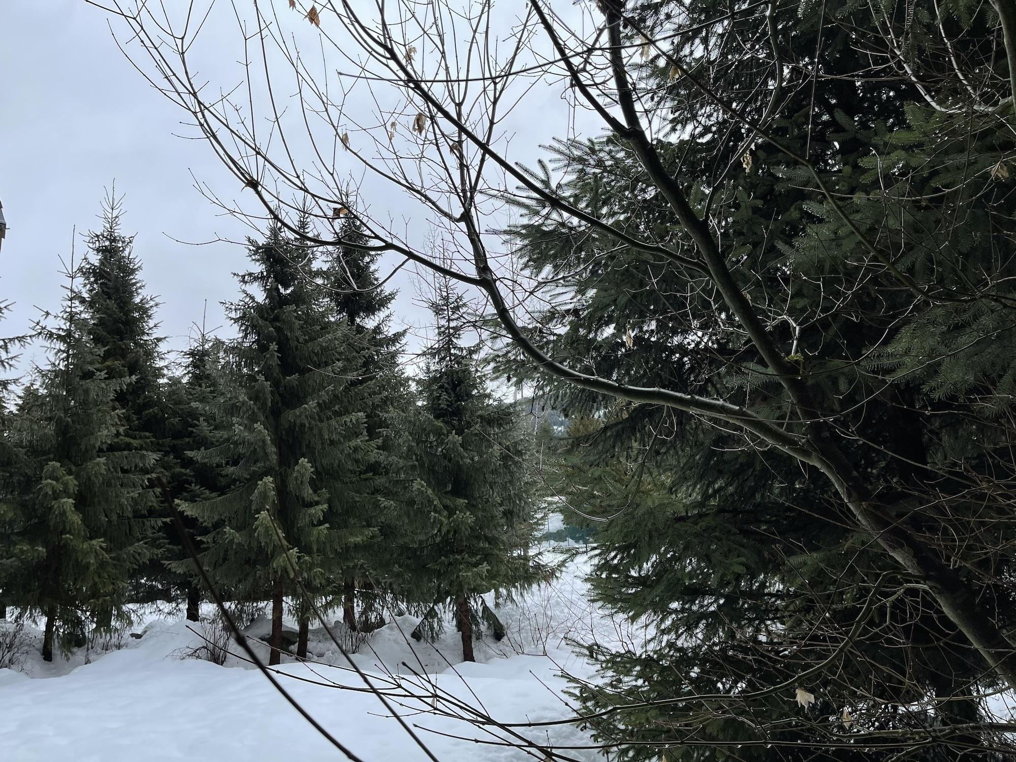 Four Seasons Resort Whistler Eksteriør bilde